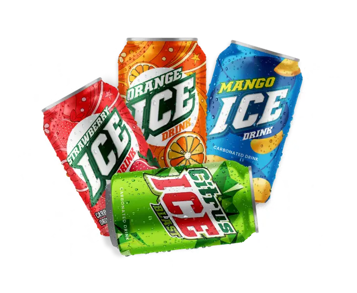 ICE CANS X12